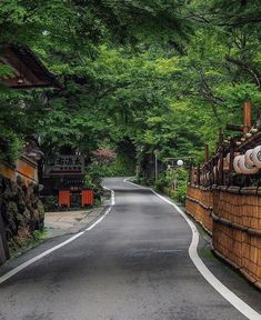 an empty street lined with lots of green trees and bushes next to a wooden fence