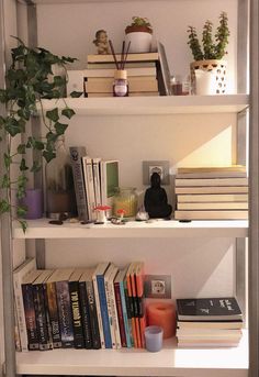 some books and plants are sitting on the shelves