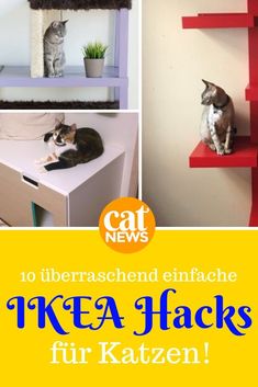 two cats sitting on top of red shelves with caption that reads cat news 10 liberaschend enfache ikea hacks fur