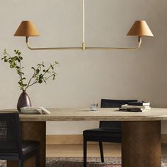 a dining room table with two lamps hanging from it's sides and a plant in the middle