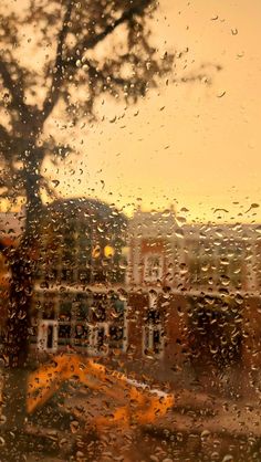 rain drops on the window as it sits in front of a school bus and tree