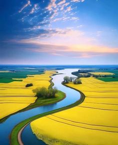 a river running through a lush green field under a blue sky