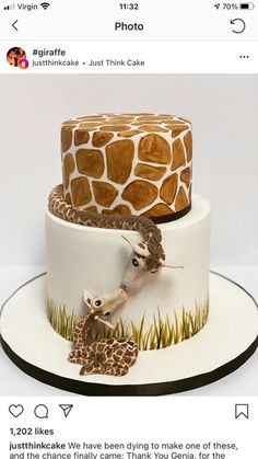 a giraffe and zebra cake on a white plate with black border around the edges