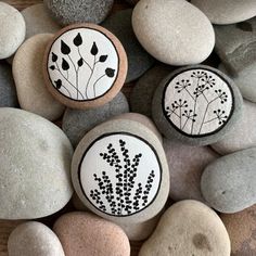 some rocks with plants painted on them