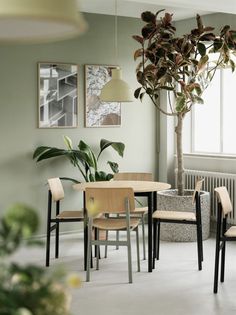 a table and chairs in a room next to a potted plant