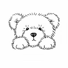 a black and white drawing of a teddy bear