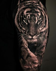 a black and white tiger tattoo on the right leg, with an animal in it's claws