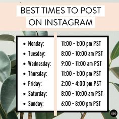 the best times to post on instagram