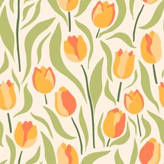 orange and yellow tulips on a white background