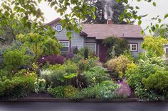 a house surrounded by trees and flowers with the words home and garden specialist retailer in india