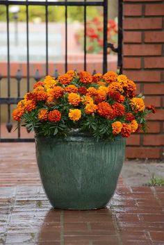 a large potted plant with orange and yellow flowers in front of a brick wall