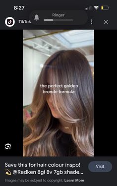 Blond Formula, Balayage Formulas, Redken Toner, Brown Hair Tones