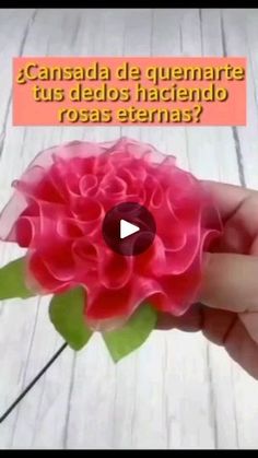 a person holding a pink flower with the words cansada de quemarte tus desdeos haciando roas eernais?