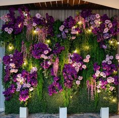 purple flowers are growing on the side of a wall