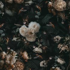 Dark Background Cream Floral Wallpaper Removable Wallpaper EazzyWalls Sample: 6''W x 9''H Canvas Cream Floral Wallpaper, Canvas Wallpaper, Moody Wallpaper, Wallpaper Store, Wallpaper Stores, Vintage Floral Wallpapers, Antique Finds, Bad Inspiration, Boho Wallpaper