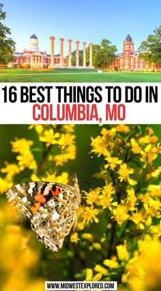 16 Best Things To Do In Columbia MO Missouri Hiking, Branson Missouri Vacation, Missouri Travel, South Dakota Vacation, Interesting Activities, North America Travel Destinations, Columbia Missouri, Road Trip Routes, Columbia Mo