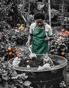 a woman in an apron is tending to her garden with two cats and oranges