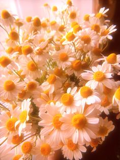 a bouquet of white and yellow daisies in a vase