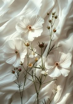 some white flowers are sitting on a sheet