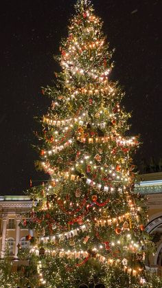 a large christmas tree is lit up at night