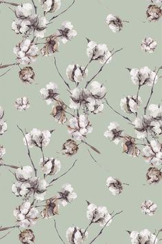 a floral wallpaper with white flowers on a light green background in shades of grey and brown