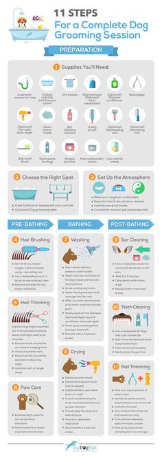 an info sheet describing how to use dog grooming products for your pet's health needs