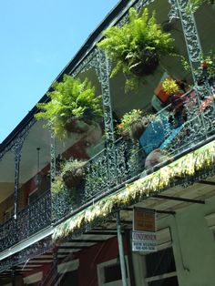 a balcony with potted plants hanging from it's balconies and railings