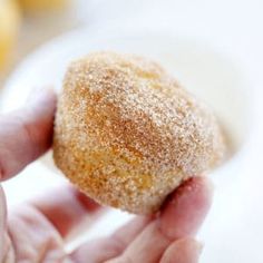 a person holding a sugar covered doughnut in their hand