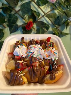 a person holding up a plate with chocolate covered bananas