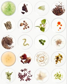 Fragrance Retail, Ingredients Photography, Plant Bud, Skincare Branding, Cosmetics Ingredients, Beautiful Stories, Food Styling, Photography Inspiration, Packaging Design