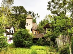 an old abandoned house in the woods with trees around it and overgrown grass on the ground