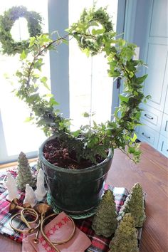 a potted plant sitting on top of a table next to scissors and other items