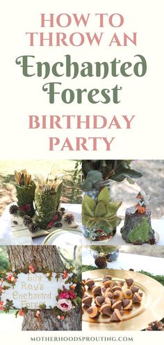 an image of a forest themed birthday party