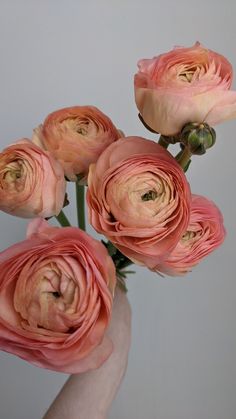 a hand holding a bunch of pink flowers