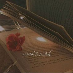 an open book sitting on top of a table next to a red flower in arabic