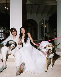 a man and woman in wedding attire sitting on steps with two dogs holding leashes