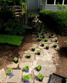 the garden is full of small plants and rocks, with grass growing between them on either side of the walkway