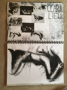 an open notebook with black and white images on it, next to a pen and ink drawing