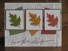 three cards with different colored leaves on them