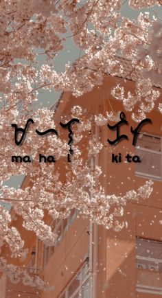 the words are written in korean on top of an image of cherry blossom tree branches