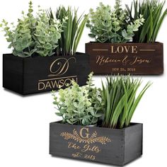 three wooden planters with plants in them and the words love, prince and queen