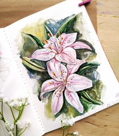 a watercolor painting of pink lilies on a piece of paper next to some flowers