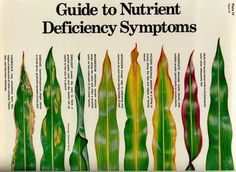 an illustrated guide to nutriennt deficicy symptoms, with instructions