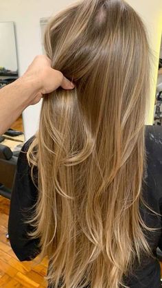 Warm Summer Blonde Hair, Fine Hair Cuts Long, Dish Water Blonde, Honey Babylights, Warm Blonde Highlights On Brown Hair, Natural Highlights For Dirty Blonde Hair, Blonde Hair Olive Skin, Natural Brunette Highlights, Level 6 Hair