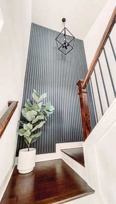 a potted plant sitting on top of a wooden shelf next to a stair case