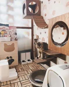 a cat sitting on top of a wooden shelf in a room with lots of furniture