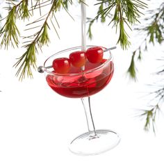 a glass filled with red liquid and cherries hanging from a pine tree branch on a white background