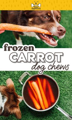 the cover of frozen carrot dog chews is shown next to a small dog holding a large carrot in it's mouth