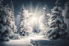 the sun shines brightly through the snow covered trees in this winter scene, which is lit up by bright beams of light