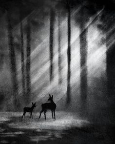 two deer standing next to each other in the woods at night with light coming through trees